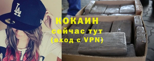 стафф Алзамай