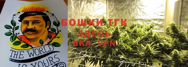 ешки Алексин