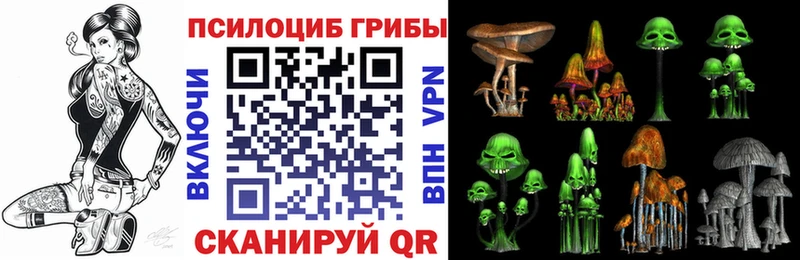 Псилоцибиновые грибы ЛСД  Цимлянск 
